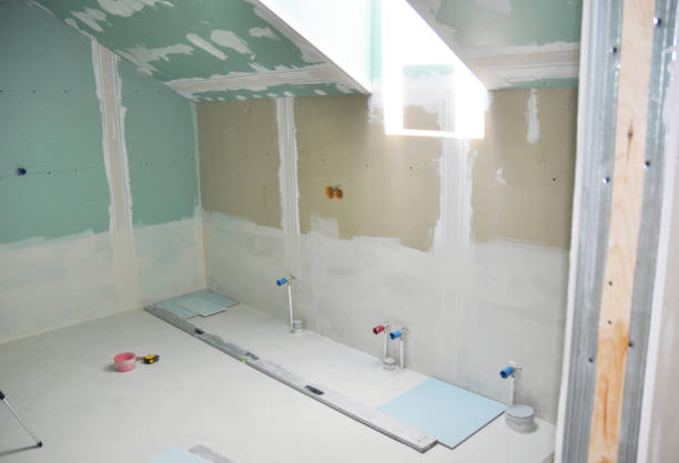 Best Forensic Mold Investigation  in Cassopolis, MI