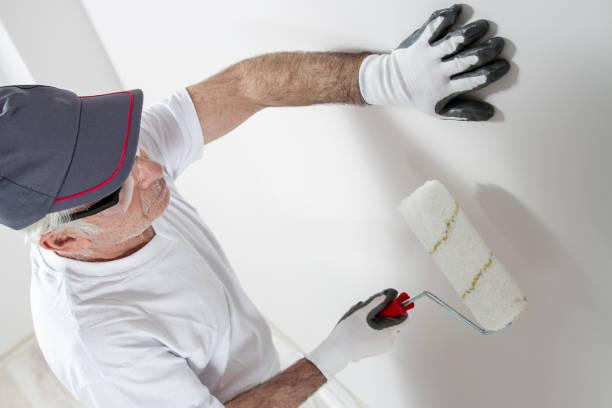 Best Basement Mold Removal  in Cassopolis, MI
