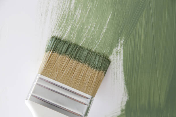 Best Mold Prevention Services  in Cassopolis, MI