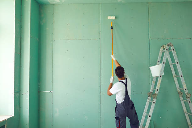 Best Residential Mold Inspection & Testing  in Cassopolis, MI