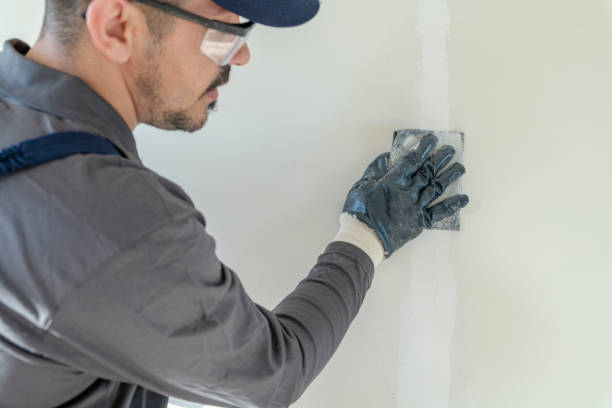 Best Post-Construction Mold Inspection  in Cassopolis, MI