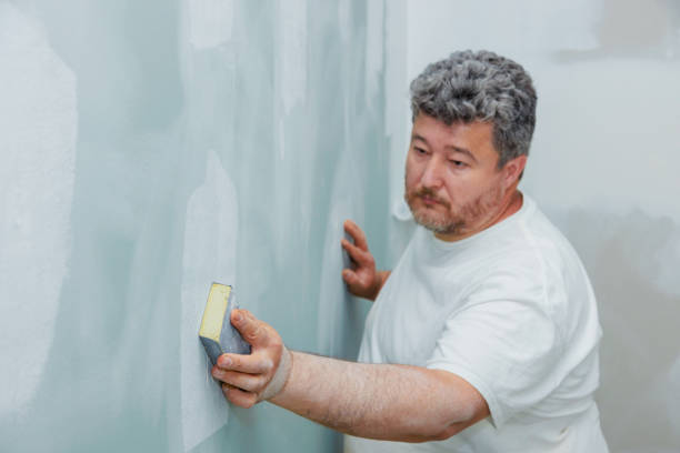 Best Attic Mold Removal  in Cassopolis, MI