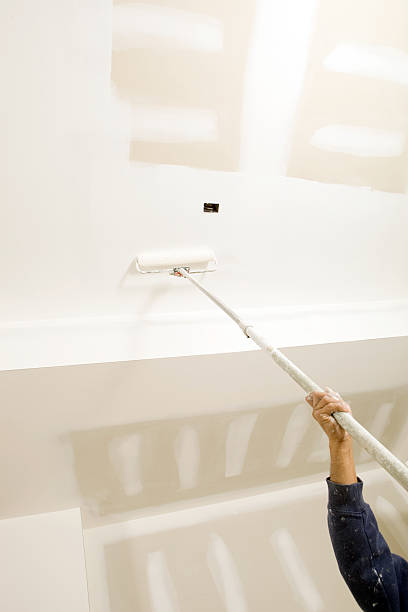Best Mold Odor Removal Services  in Cassopolis, MI