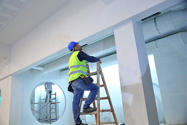 Best Industrial Mold Remediation  in Cassopolis, MI