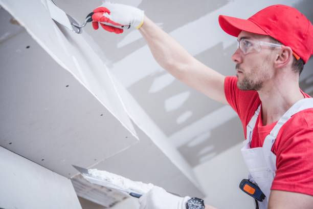 Best Air Quality Testing for Mold Spores  in Cassopolis, MI